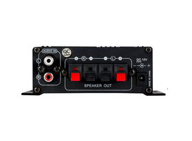 Kinter MA170+ rear panel inputs showing RCA L/R connections for analog sources.