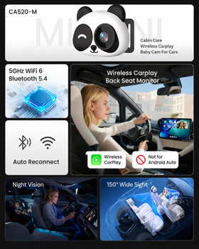 KJPN CarPlay monitor split-screen display enables navigation while watching rear passengers