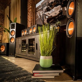 RP-404C II Ebony removable magnetic grille for versatile styling.