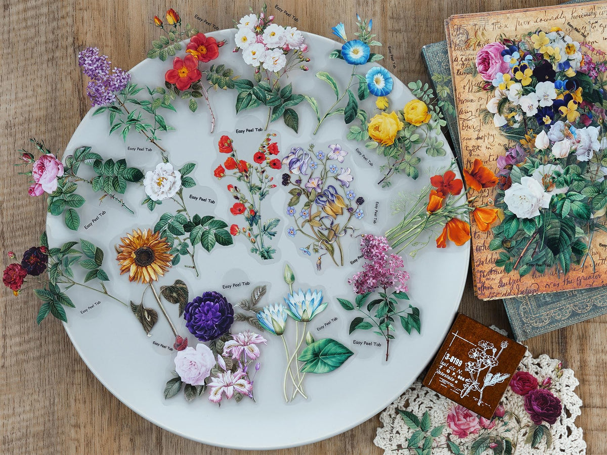 Knaid botanical sticker with clear border enhances scrapbooks with vivid detail.