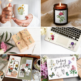 Knaid journaling sticker pack brings retro botanical charm to notebooks.