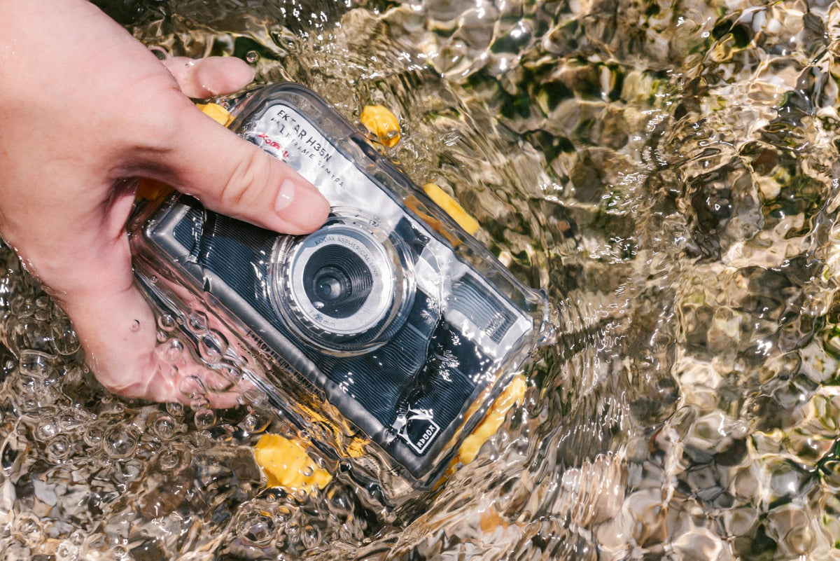 Kodak EKTAR H35N star filter close-up showing creative light flare.