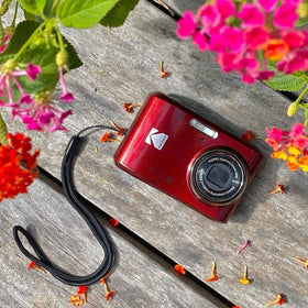 Kodak PIXPRO FZ45 in hand, portable camera ready for travel.