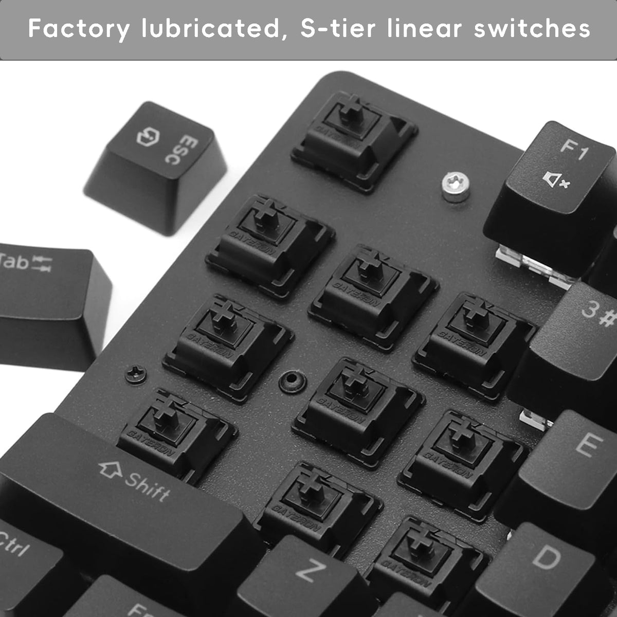 Kutethy Gateron Oil King switches with LED compatibility for customizable lighting.