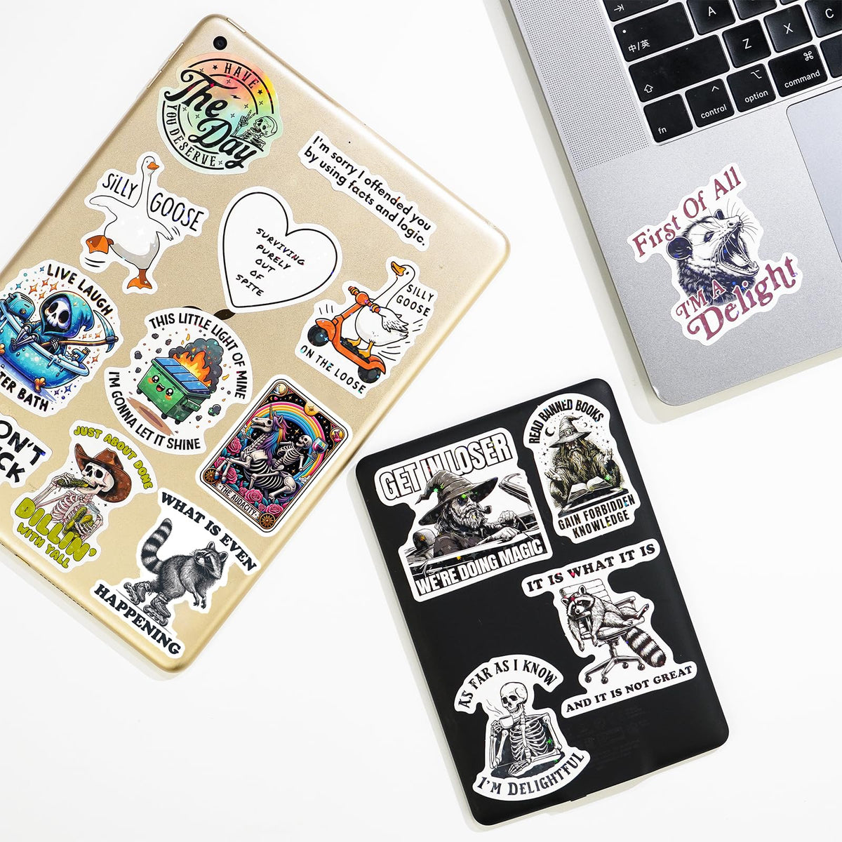 LakoArt car bumper stickers offer expressive, removable vehicle decals