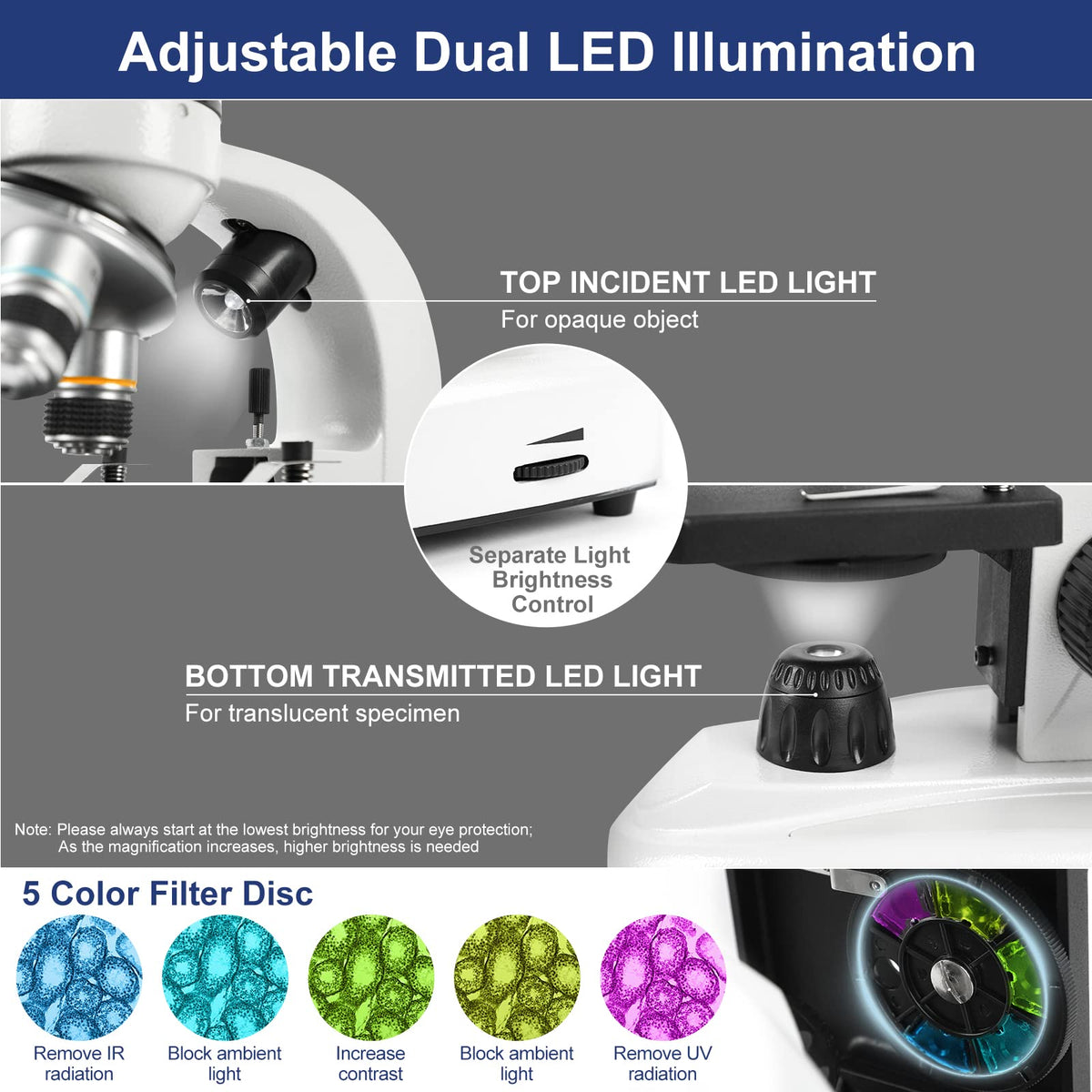 LaMulaAuto dual LED illumination enables viewing translucent and opaque specimens.