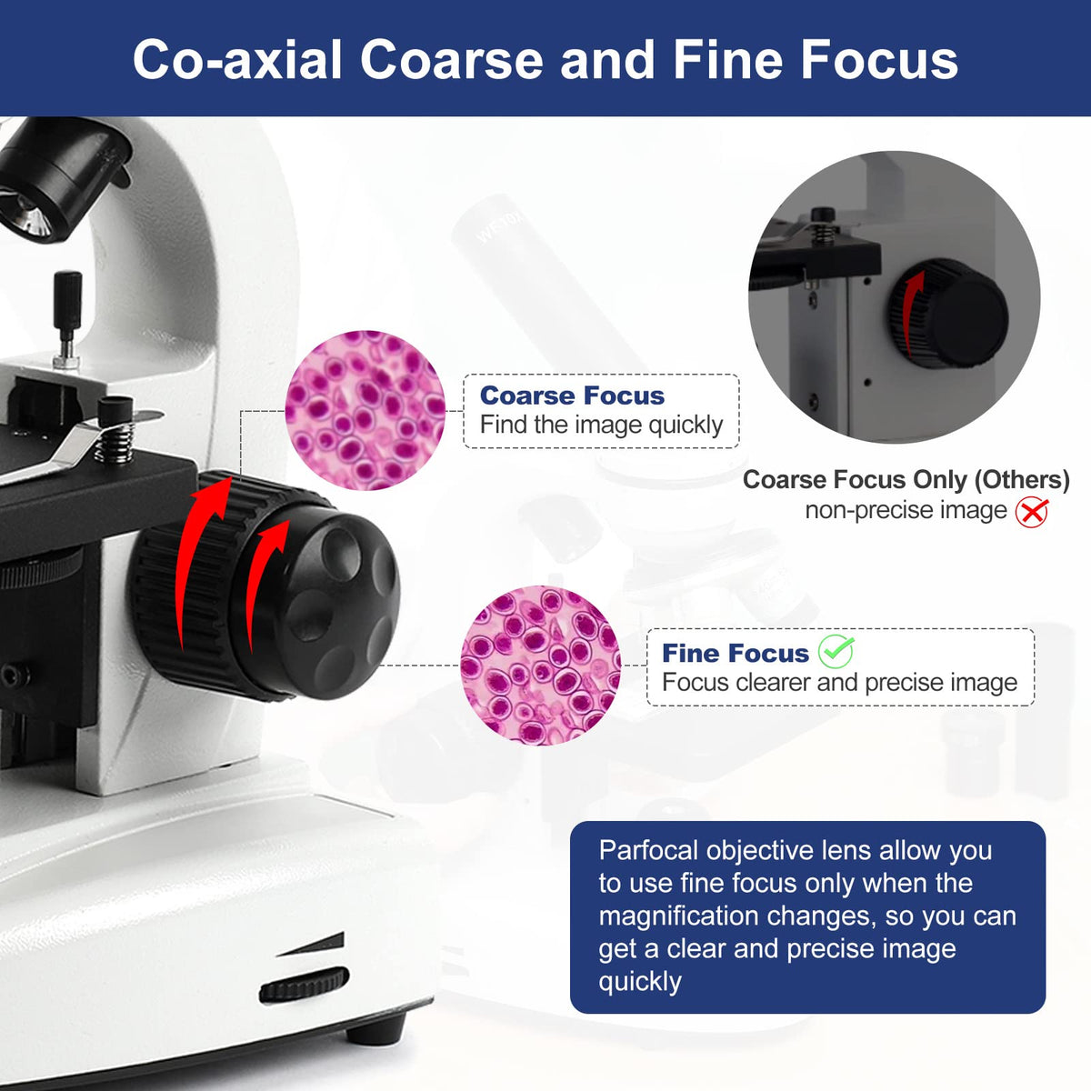 LaMulaAuto six-level magnification with objective lenses for versatile observations.