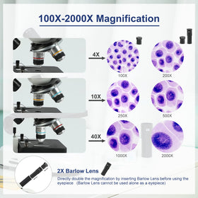 LaMulaAuto ocular view showing precise magnification for study sessions.