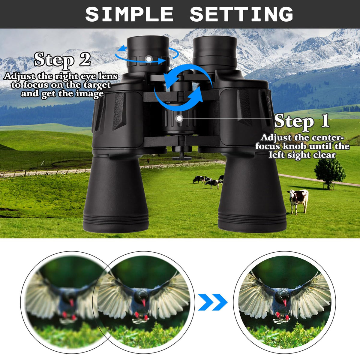 LANDVIEW used at an outdoor concert for distant subject clarity