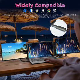Larksmile protective travel case stores screens and cables securely