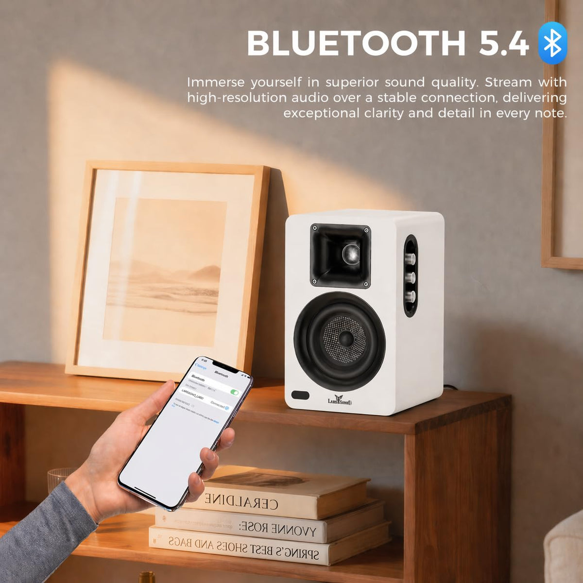 LARKSOUND classic enclosure with tactile treble and bass knobs for on-device tuning.