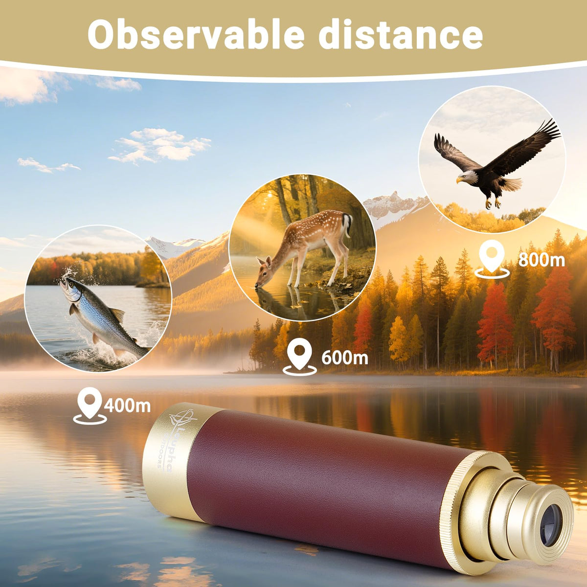 Laupha leatherette case provides premium touch and protection