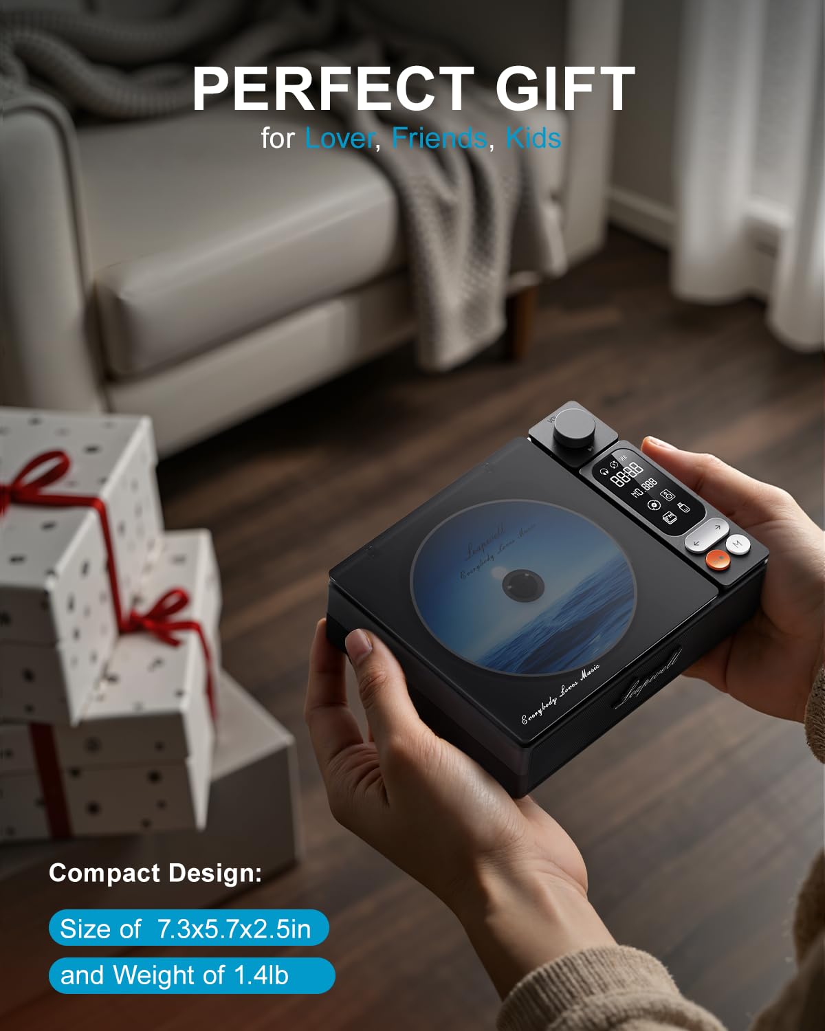 Leapwell USB/Optical connection demonstrates lossless home listening setup.