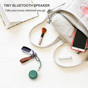 LEICEX travel-friendly setup shows the speaker in outdoor or travel scenario