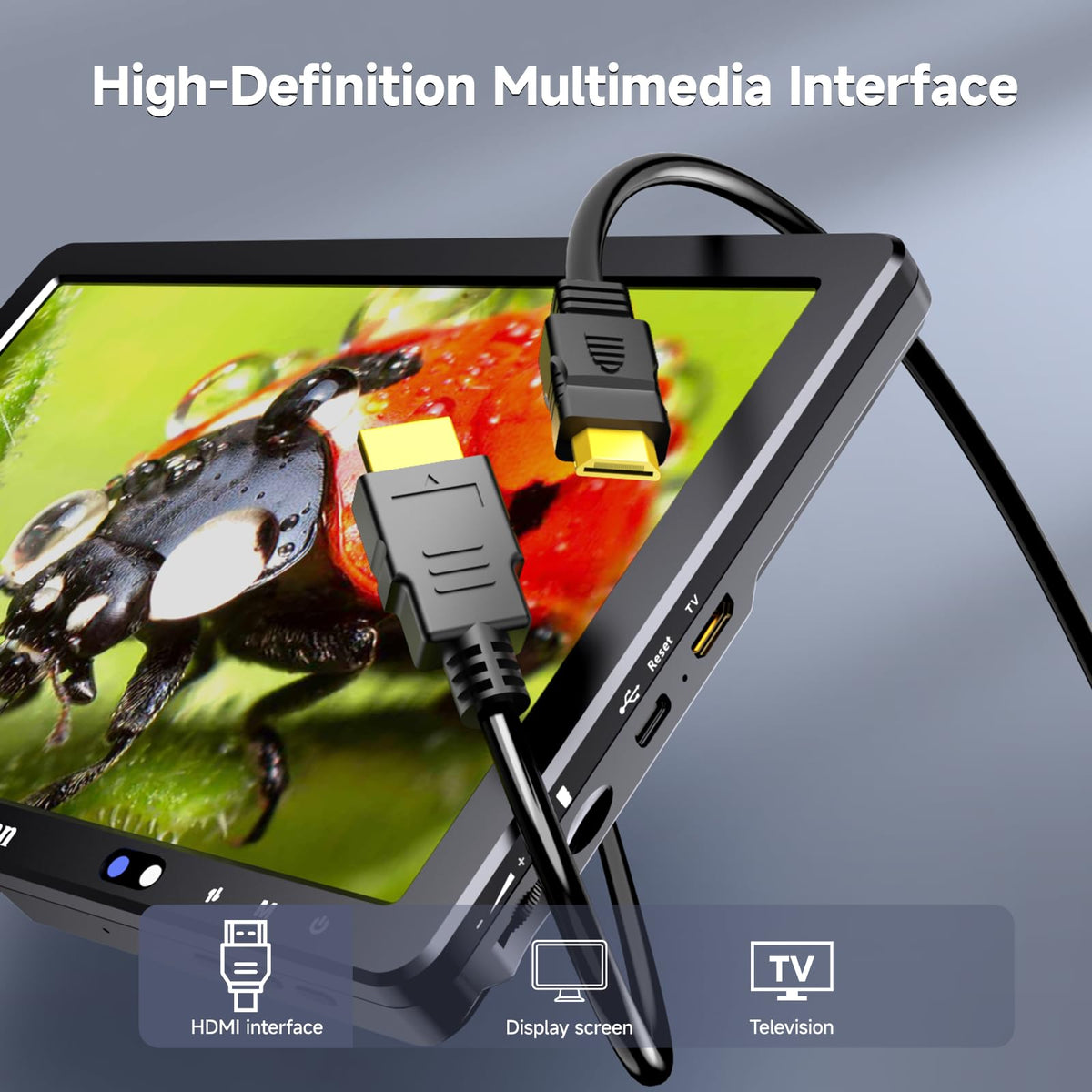 Leipan DM12 real time voice recording records observations as you explore