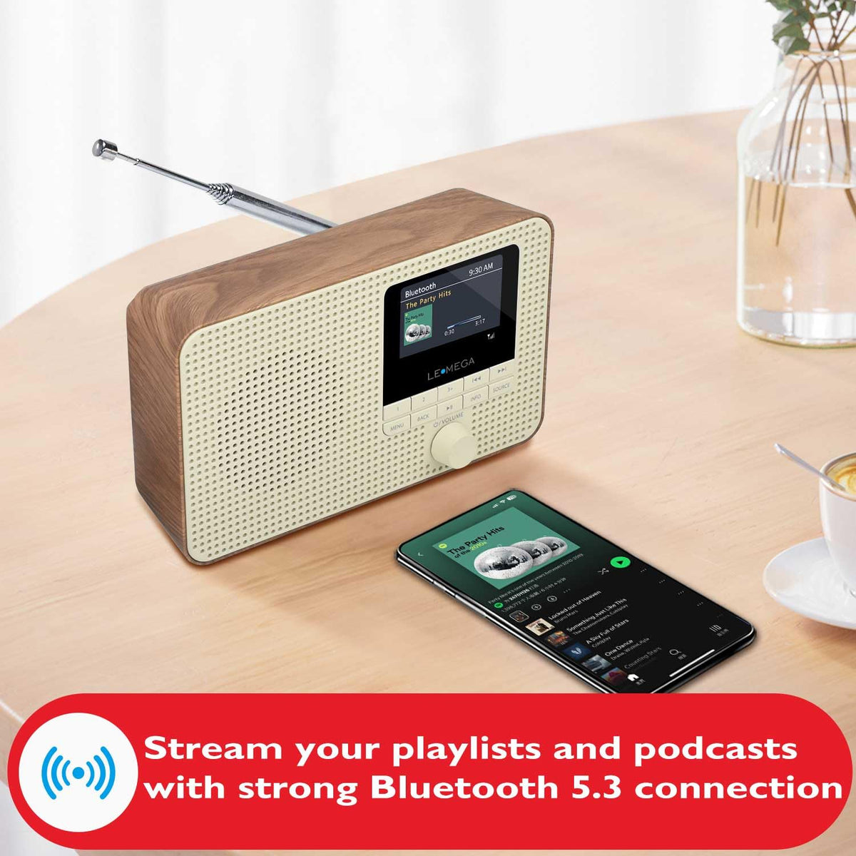 LEMEGA IR1 FM digital radio with clear local and global stations