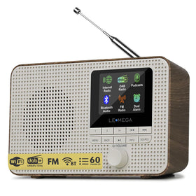 LEMEGA IR1 portable internet radio for on-the-go listening