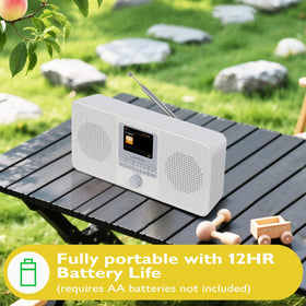 LEMEGA IR4S Bluetooth playback from any device
