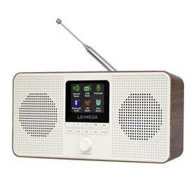 LEMEGA IR4S front view in dark walnut with wireless radio interface.
