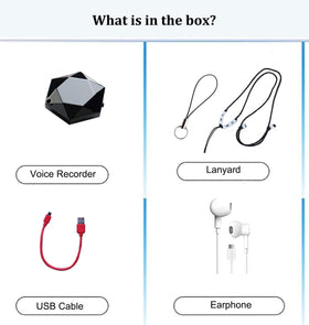 LemoVoz Ideal for Lectures and Meetings — versatile note-taking tool
