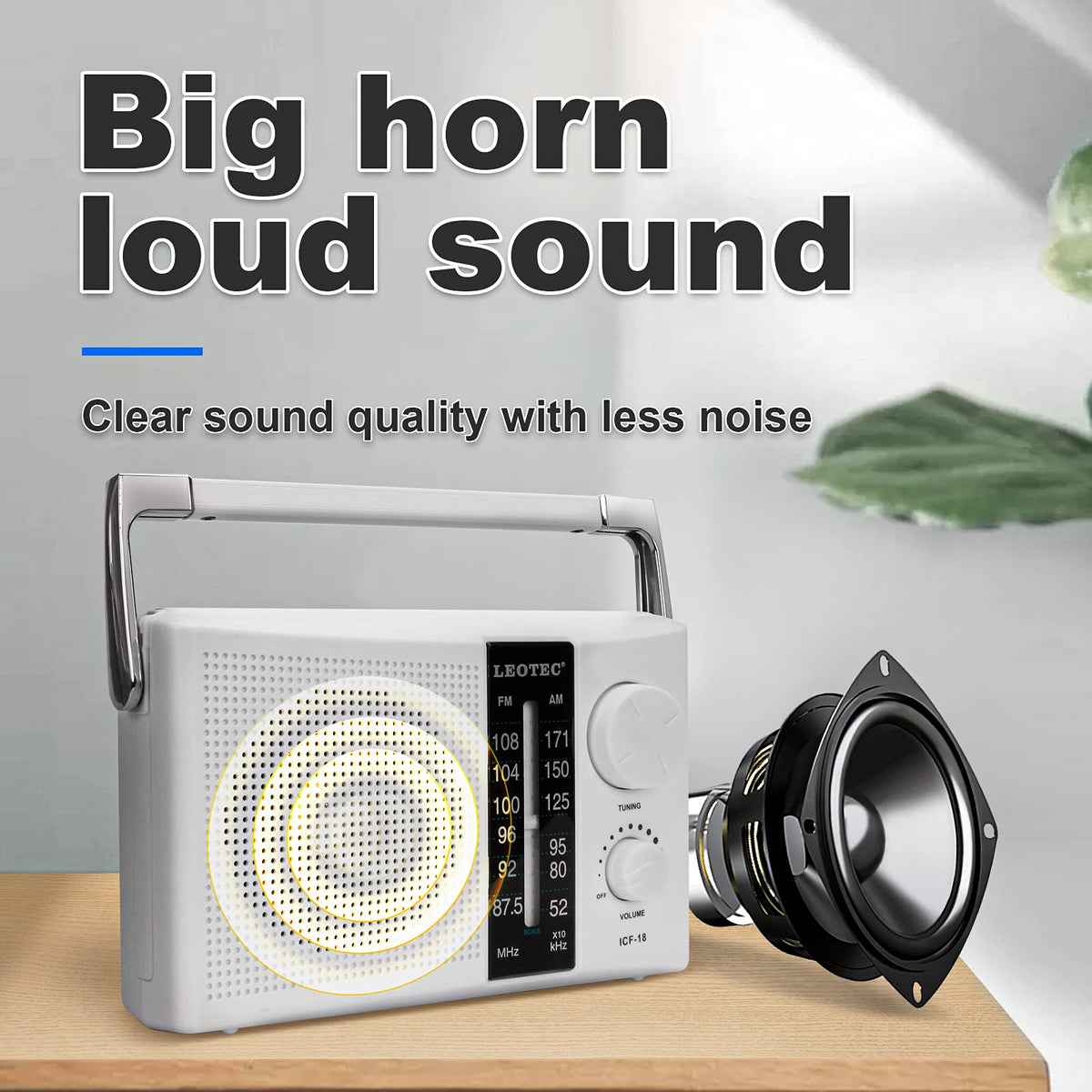 LEOTEC AM/FM radio covers wide frequency range for varied listening
