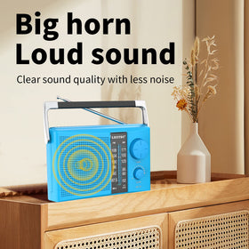 LEOTEC radio powered by AC cord or two D batteries