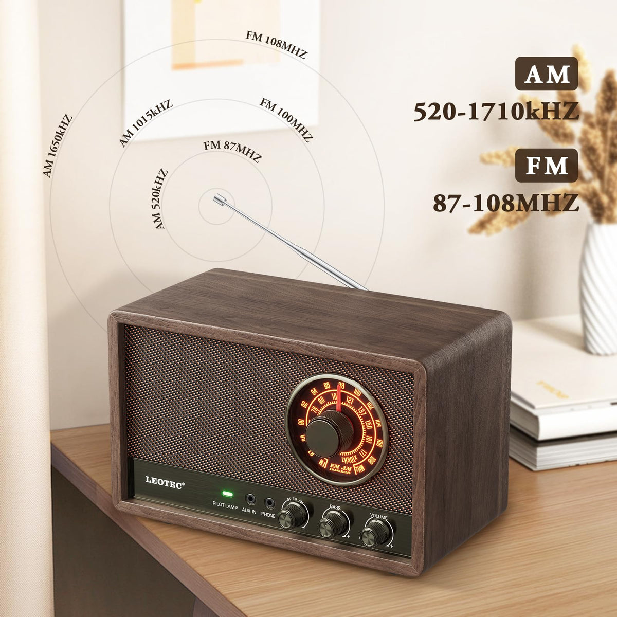 LEOTEC back panel showing AUX, headphone jack and cord for versatile connectivity