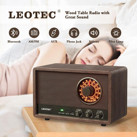 LEOTEC detail of large tuning knob for easy station selection and precise control