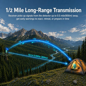 LETWESAF detection zone setup shows precise coverage