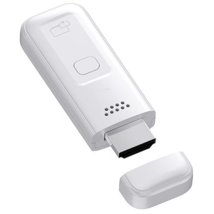 LETWESAF dongle front view showing compact design and clear branding for portability