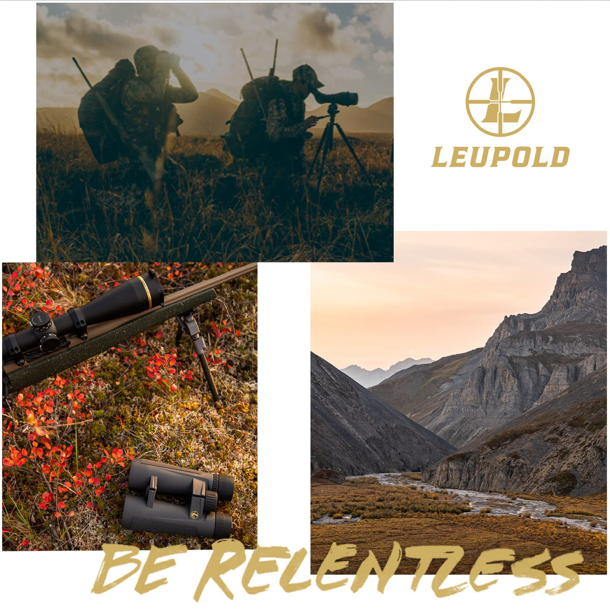 Leupold BX-1 Rogue in use during hiking and birdwatching scenarios