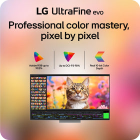 LG UltraFine evo 6K DisplayHDR 600 reveals vibrant highlights and precise contrast.