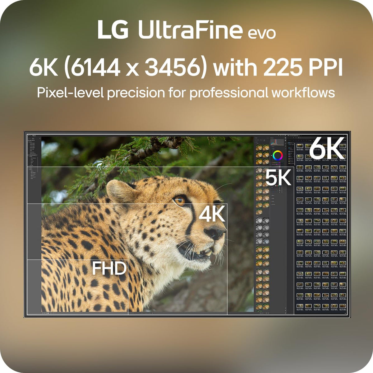 LG UltraFine evo 6K ports and connectivity showcase USB‑C and DisplayPort 2.1.