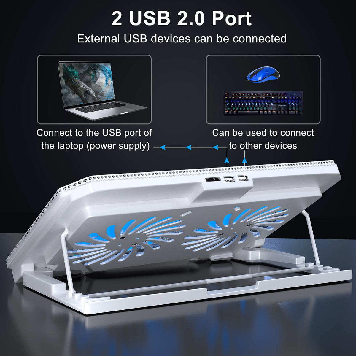 LIENS dual-fans LED view highlights strong airflow for responsive cooling.