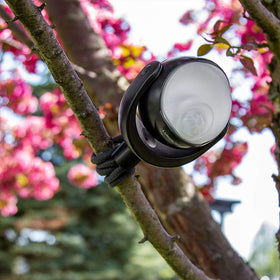 Limitless Innovations Lumenology close-up of LED lens showing focused brightness benefit
