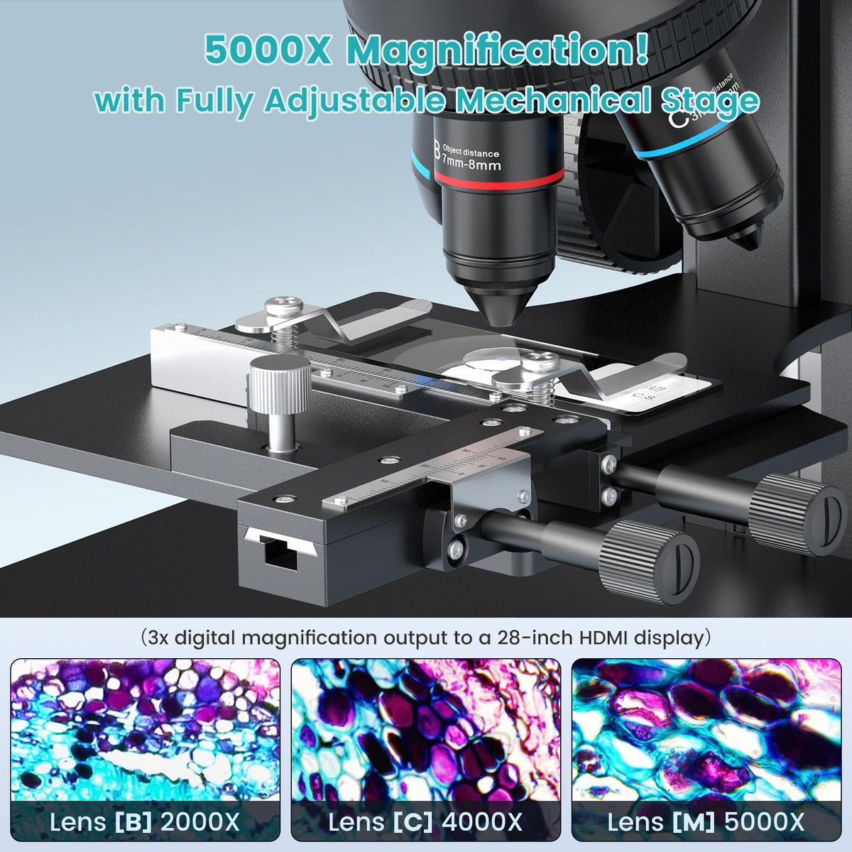 LINKMICRO LM266S biological slide view enables precise inspection of slides for study tasks.