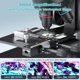 LINKMICRO LM266S biological slide view enables precise inspection of slides for study tasks.