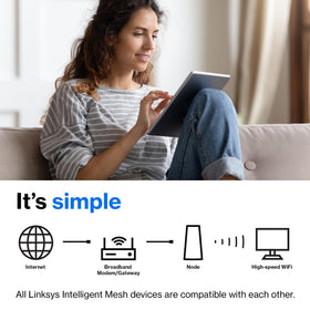 Linksys Atlas 6 packaging box highlighting value and setup simplicity.