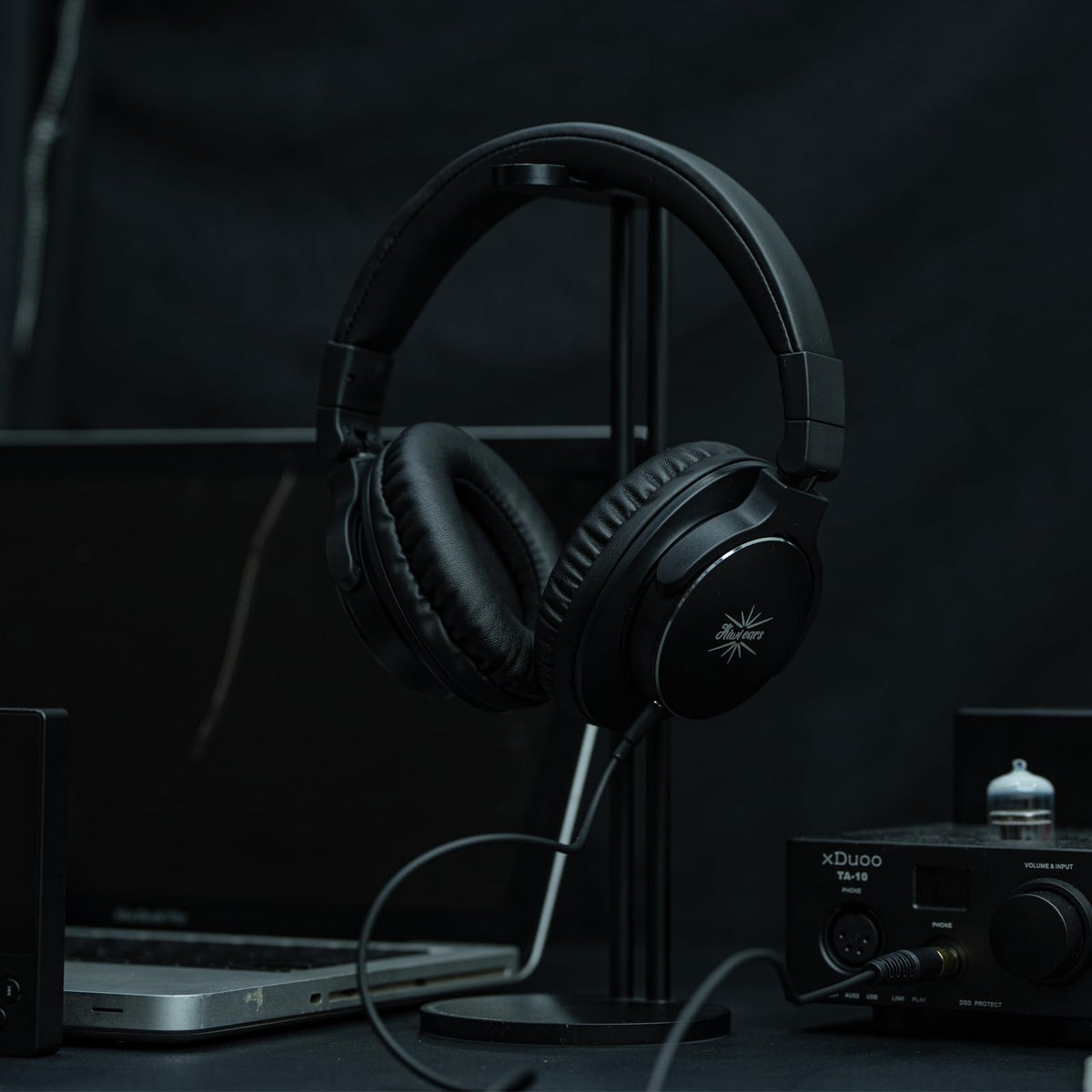 Linsoul Kiwi Ears Division in studio setup for monitoring.