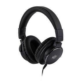 Linsoul Kiwi Ears Division front view for portable monitoring.