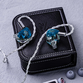 Protective blue case with Orchestra Lite branding supports safe transport.