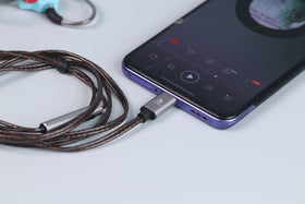 Linsoul Salnotes Zero OFC cable with inline mic and Type-C plug for hands-free mobile use