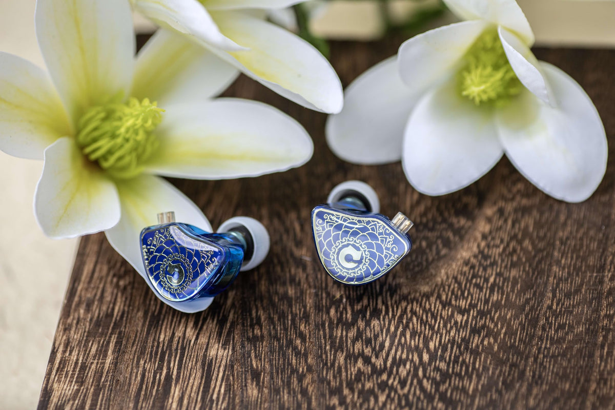 Dual cavity tuning visual hints at a balanced, spacious listening profile