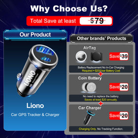 LIONO supports family cars and small fleets tracking.