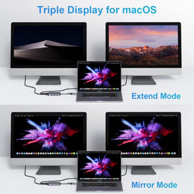 LIONWEI extended display with SST and MST modes