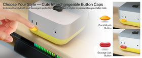 Lonelyfox Mac mini M4 Stand keeps cables organized on your desk setup.