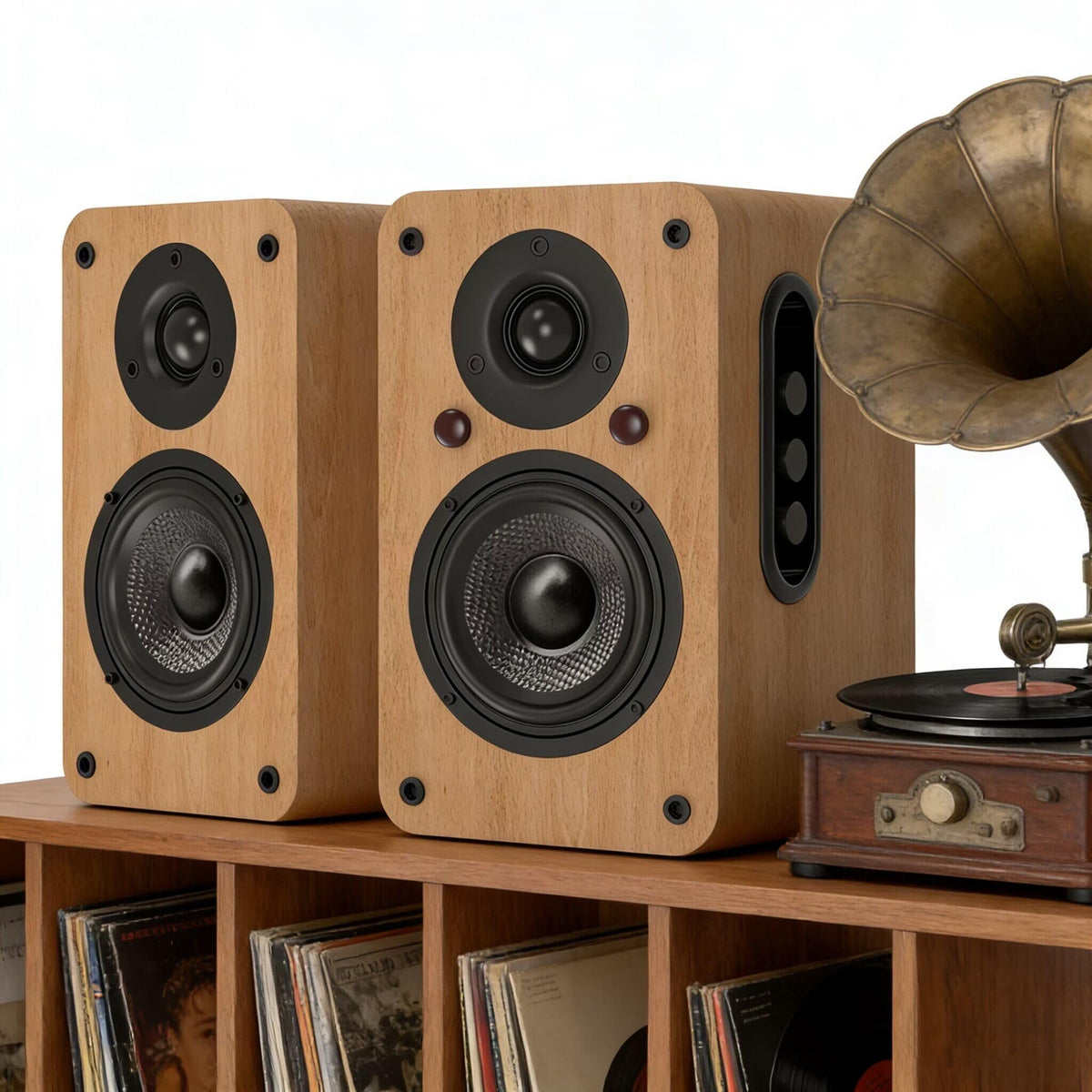 LONPOO active speaker system set up quickly with built-in amplifier