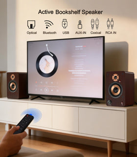 LONPOO LP-42M rear panel with optical, RCA, USB and binding posts for flexible connections