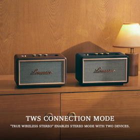 Lonzuer TWS pairing mode for true stereo with two speakers