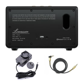 Lonzuer USB/SD/AUX inputs expand playback compatibility